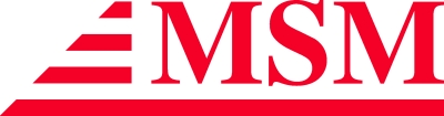 Logo MSM Group